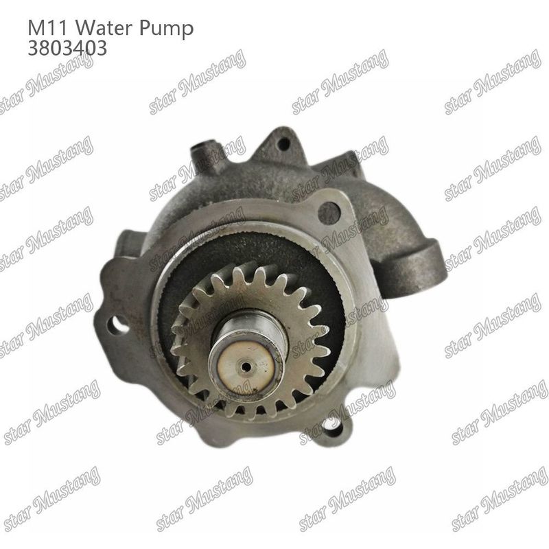 ปั๊มน้ํา M11 4955706 4926553 หม้อสั้น สําหรับ CUMMINS อะไหล่ซ่อมเครื่องยนต์ดีเซล