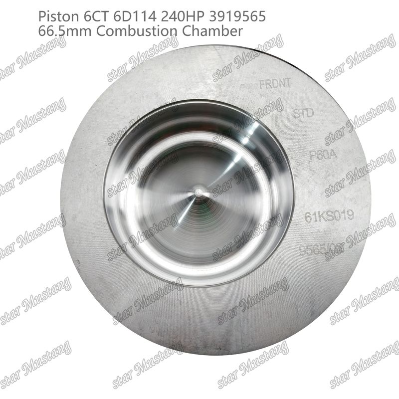 พิสตัน 6CT 6D114 240HP 3919565 66.5 มิลลิเมตร ห้องเผาไหม้ สําหรับชิ้นส่วนซ่อมเครื่องยนต์ดีเซล Cummins