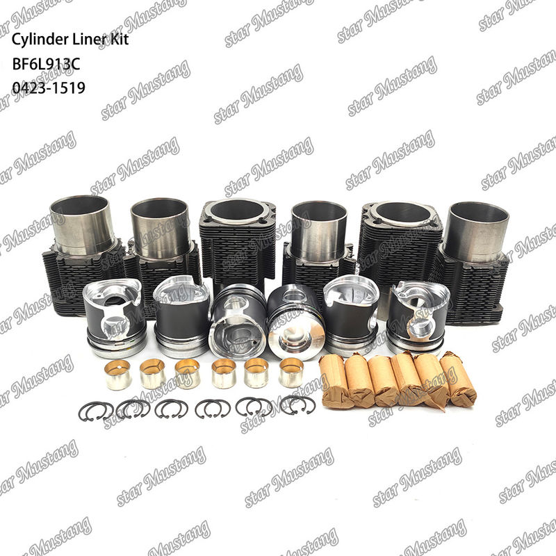 สภาพใหม่ เครื่องยนต์ดีเซล ชนิดชุดบรรจุสําหรับ BF6L913C 0423-1519