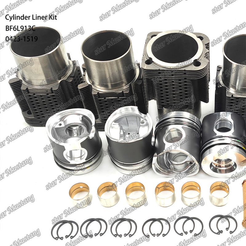 สภาพใหม่ เครื่องยนต์ดีเซล ชนิดชุดบรรจุสําหรับ BF6L913C 0423-1519