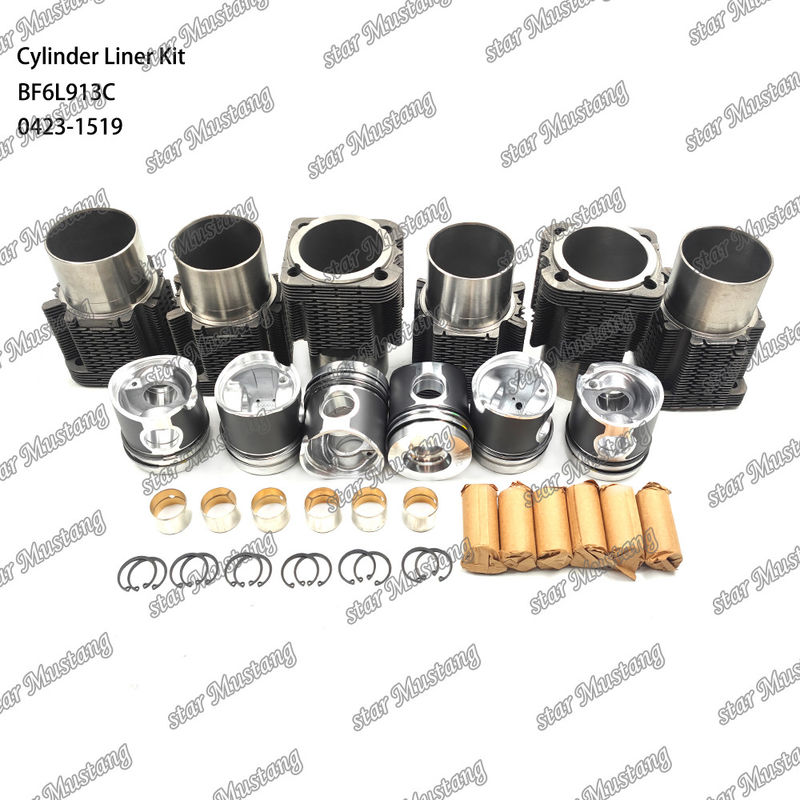สภาพใหม่ เครื่องยนต์ดีเซล ชนิดชุดบรรจุสําหรับ BF6L913C 0423-1519