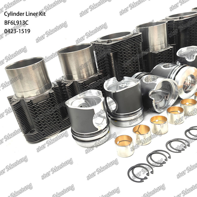สภาพใหม่ เครื่องยนต์ดีเซล ชนิดชุดบรรจุสําหรับ BF6L913C 0423-1519