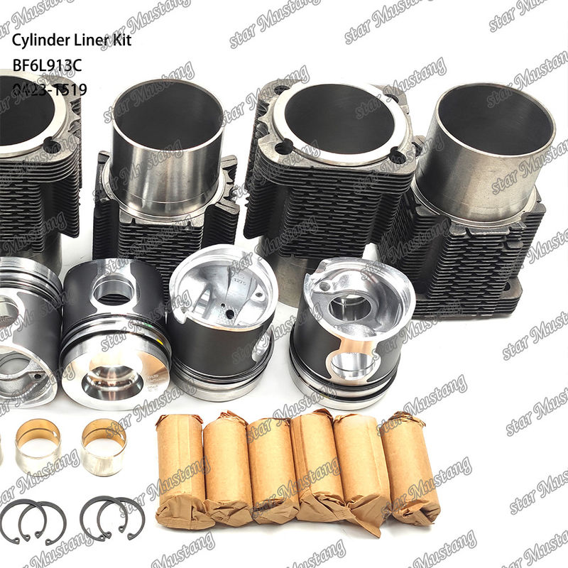 สภาพใหม่ เครื่องยนต์ดีเซล ชนิดชุดบรรจุสําหรับ BF6L913C 0423-1519