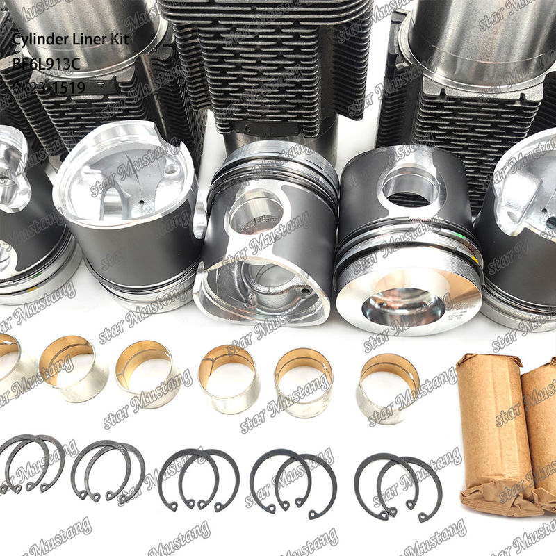 สภาพใหม่ เครื่องยนต์ดีเซล ชนิดชุดบรรจุสําหรับ BF6L913C 0423-1519