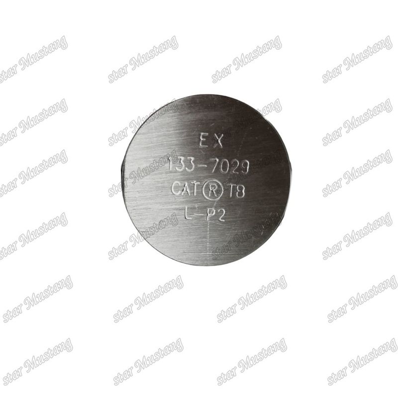 3176C C10 IN 7E9578 EX 133-7029 วาล์วสําหรับอะไหล่เครื่องยนต์ Caterpillar