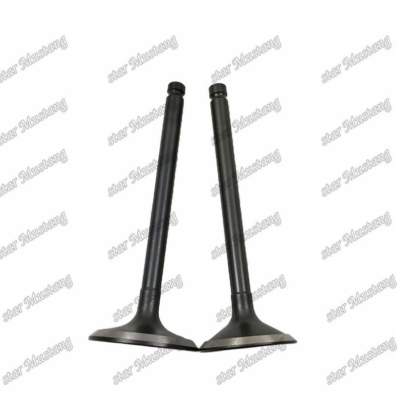 วาล์ว 3KR1 8941190881 8-94119088-1 5125520462 5-12552046-2 สําหรับอะไหล่เครื่องยนต์ Isuzu