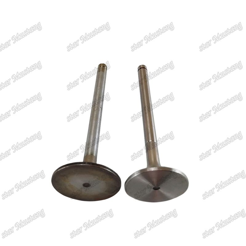 วาล์ว EK100 EK130 EF750 13715-1060 13711-1450 เหมาะสําหรับอะไหล่เครื่องยนต์ Hino
