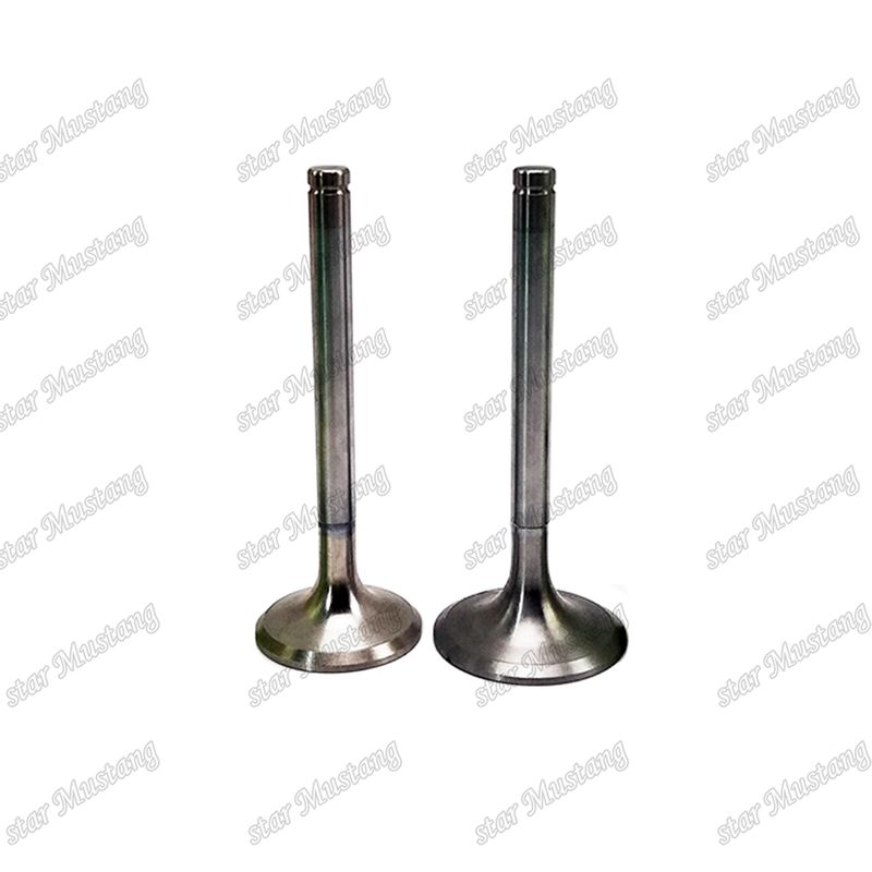 อุปกรณ์สํารองเครื่องยนต์ Doosan ENGINE Valve D2848 IN 65.01611-2031 EX 65.01611-2042