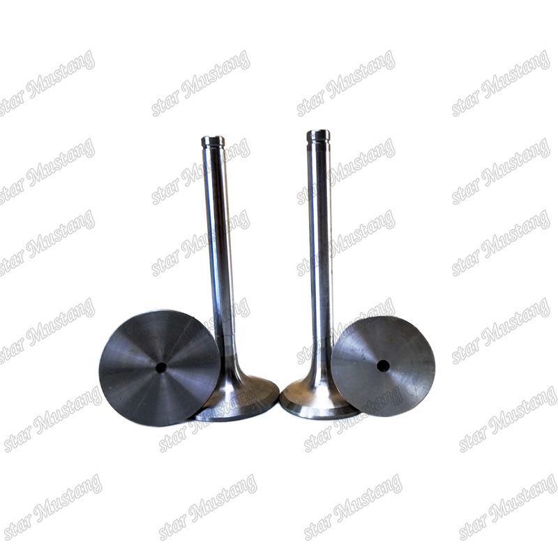 อุปกรณ์สํารองเครื่องยนต์ Doosan ENGINE Valve D2848 IN 65.01611-2031 EX 65.01611-2042