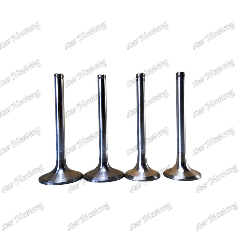 อุปกรณ์สํารองเครื่องยนต์ Doosan ENGINE Valve D2848 IN 65.01611-2031 EX 65.01611-2042