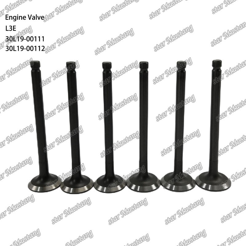 L3E 30L19-00111 30L19-00112 วาล์วเครื่องยนต์ดีเซล เหมาะสําหรับอะไหล่ Mitsubishi