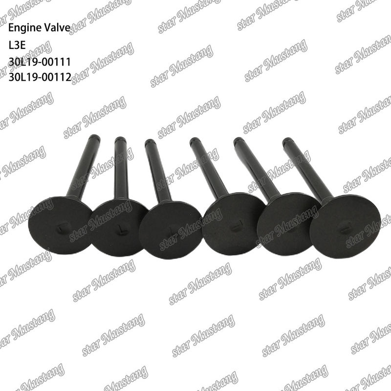 L3E 30L19-00111 30L19-00112 วาล์วเครื่องยนต์ดีเซล เหมาะสําหรับอะไหล่ Mitsubishi