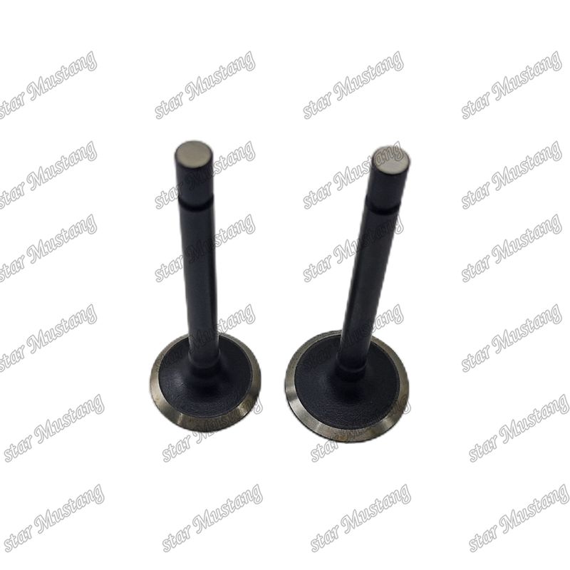 อุปกรณ์ยนต์ไดเซล อินเทรล สตัค VALVE Z500 D650 D750 IN 15261-13110 EX 15261-13120 อินเทอร์ล อินเทอร์ล อินเทอร์ล