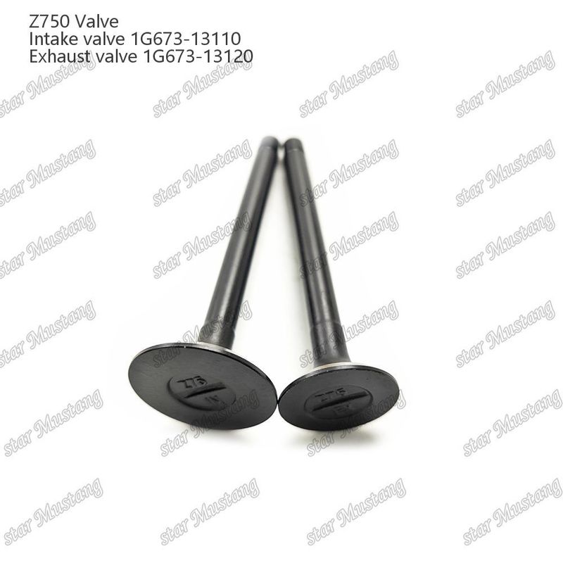 1G673-13110 1G673-13120 เครื่องยนต์ไดเซล อัลบั้มโครงสร้างอินทิกรัล Z750