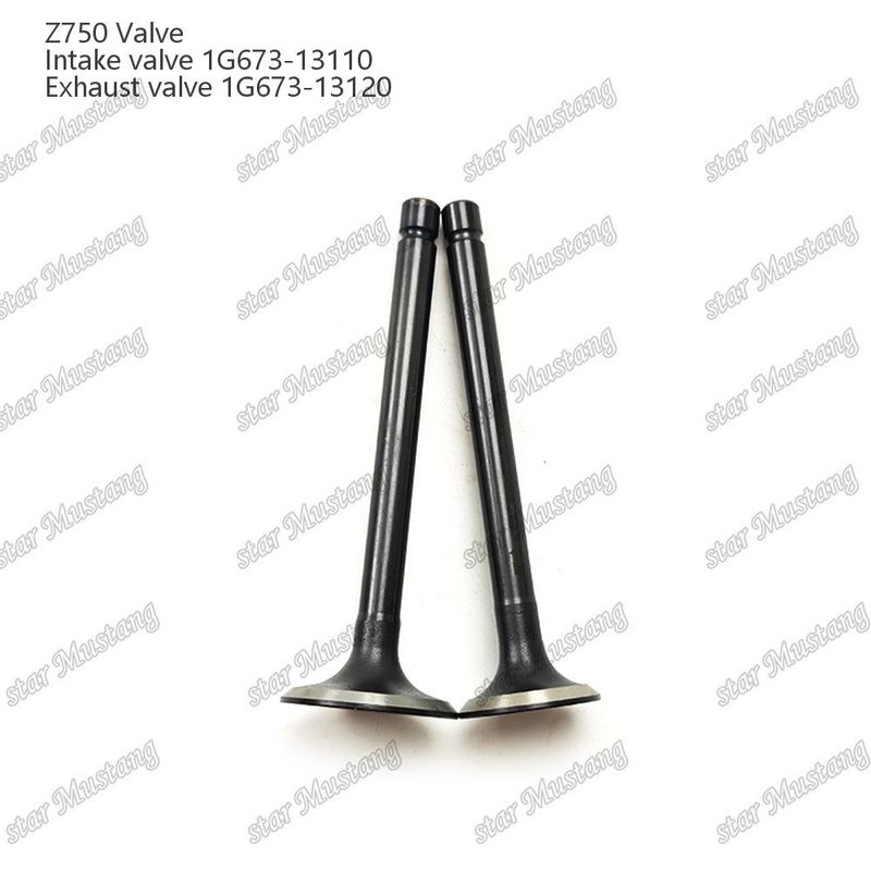 1G673-13110 1G673-13120 เครื่องยนต์ไดเซล อัลบั้มโครงสร้างอินทิกรัล Z750