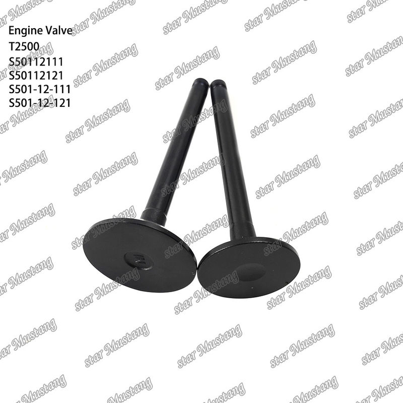 วาล์วโครงสร้างอินเทกรัล T2500 S50112111 S50112121 S501-12-111 S501-12-121 เครื่องยนต์ดีเซล ชิ้นแท้ สต๊อกพร้อมการสนับสนุนออนไลน์ หลังจาก