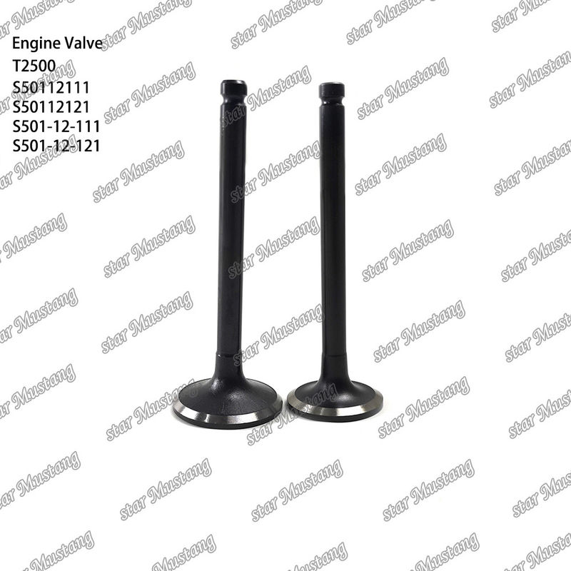 วาล์วโครงสร้างอินเทกรัล T2500 S50112111 S50112121 S501-12-111 S501-12-121 เครื่องยนต์ดีเซล ชิ้นแท้ สต๊อกพร้อมการสนับสนุนออนไลน์ หลังจาก