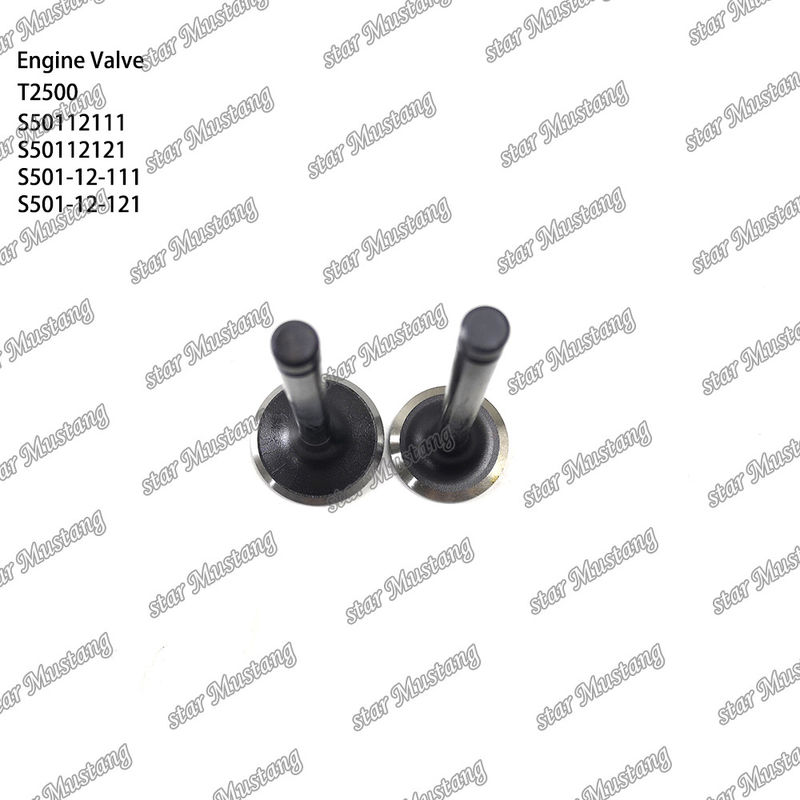 วาล์วโครงสร้างอินเทกรัล T2500 S50112111 S50112121 S501-12-111 S501-12-121 เครื่องยนต์ดีเซล ชิ้นแท้ สต๊อกพร้อมการสนับสนุนออนไลน์ หลังจาก