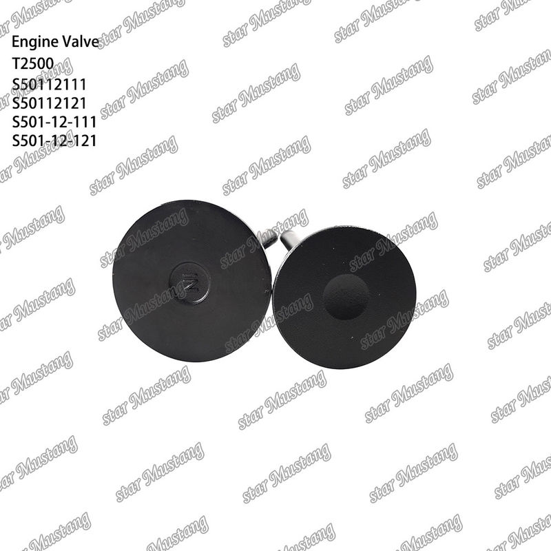 วาล์วโครงสร้างอินเทกรัล T2500 S50112111 S50112121 S501-12-111 S501-12-121 เครื่องยนต์ดีเซล ชิ้นแท้ สต๊อกพร้อมการสนับสนุนออนไลน์ หลังจาก