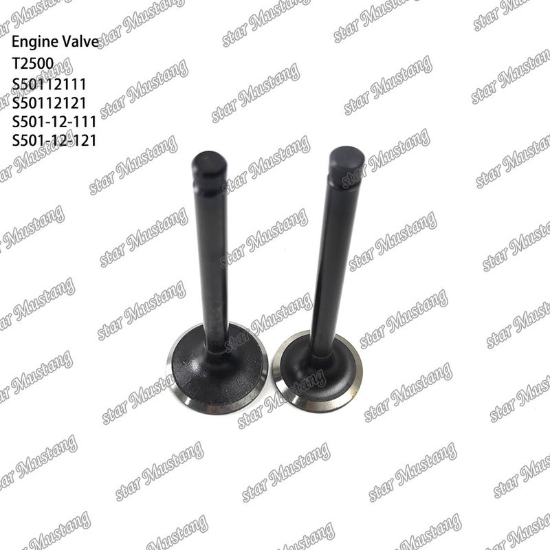 วาล์วโครงสร้างอินเทกรัล T2500 S50112111 S50112121 S501-12-111 S501-12-121 เครื่องยนต์ดีเซล ชิ้นแท้ สต๊อกพร้อมการสนับสนุนออนไลน์ หลังจาก