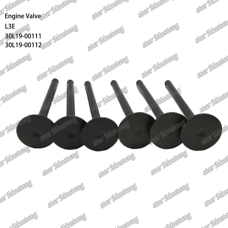 L3E 30L19-00111 30L19-00112 อะไหล่เครื่องยนต์ดีเซล สต๊อกเดิม พร้อมการสนับสนุนออนไลน์ หลังจาก