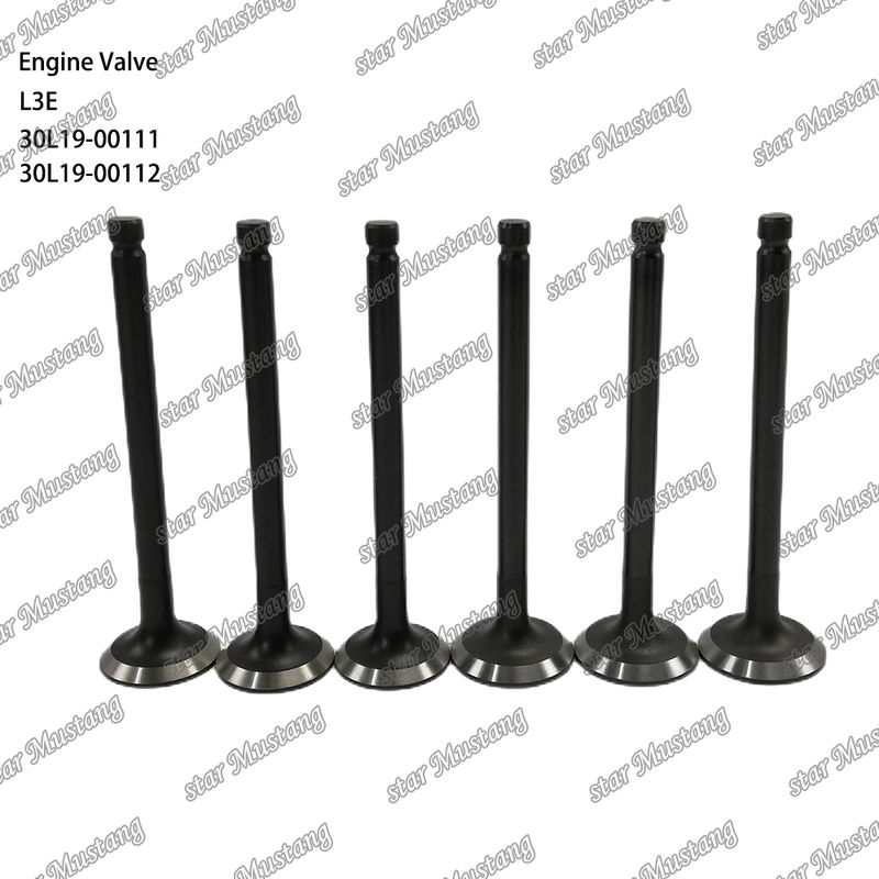 L3E 30L19-00111 30L19-00112 อะไหล่เครื่องยนต์ดีเซล สต๊อกเดิม พร้อมการสนับสนุนออนไลน์ หลังจาก