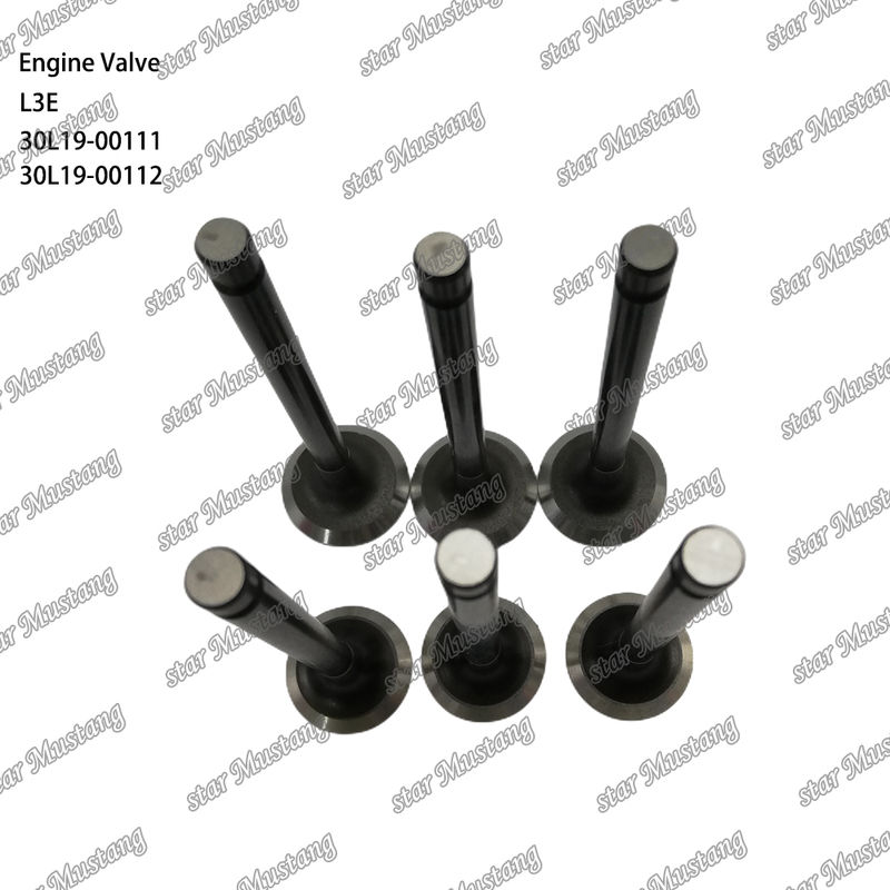 L3E 30L19-00111 30L19-00112 อะไหล่เครื่องยนต์ดีเซล สต๊อกเดิม พร้อมการสนับสนุนออนไลน์ หลังจาก