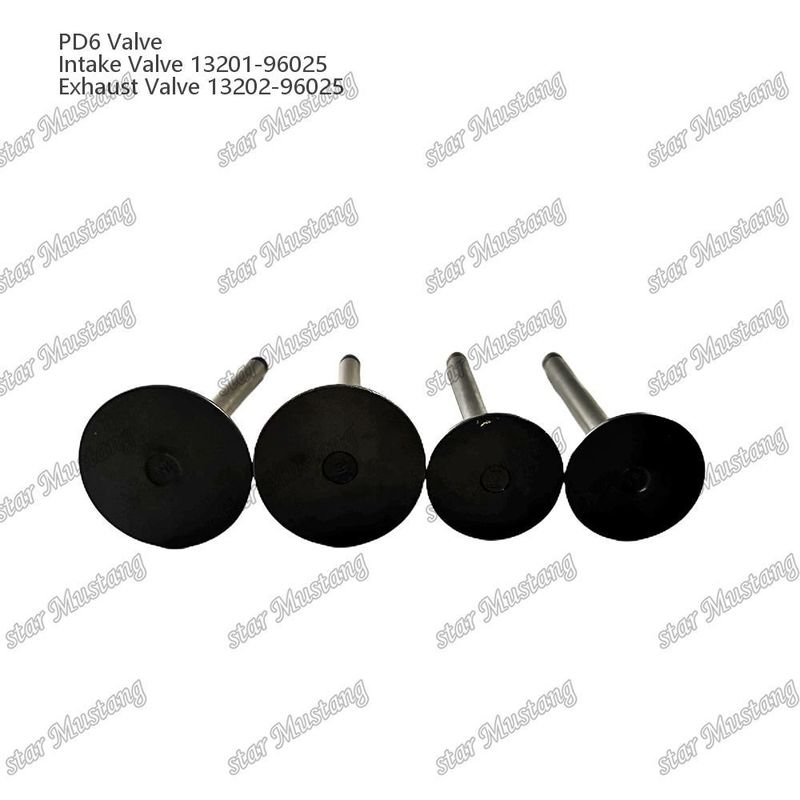 PD6 IN 13201-96025 EX 13202-96025 เครื่องยนต์ไดเซล ชิ้นส่วน อิตาลี