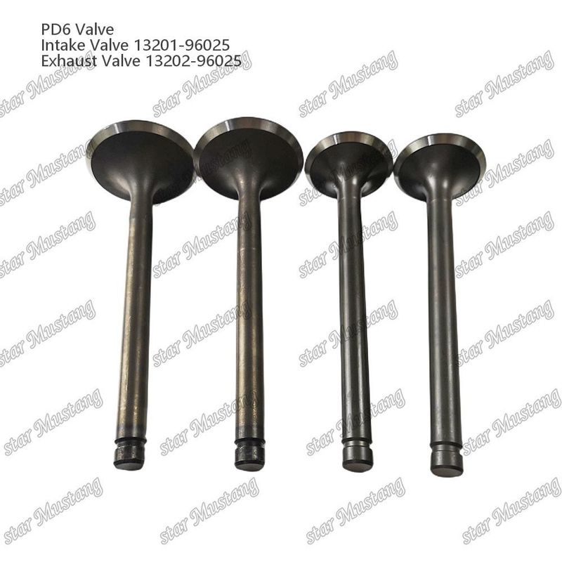 PD6 IN 13201-96025 EX 13202-96025 เครื่องยนต์ไดเซล ชิ้นส่วน อิตาลี